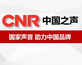 北京廣告咨詢 城市脈動下的品牌策略與市場洞察