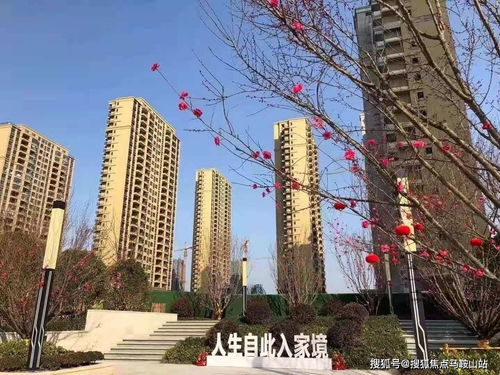 鎮(zhèn)江新盤速遞 一站式獲取樓盤動(dòng)態(tài)、地址戶型與教育資源解析